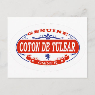 Coton De Tulear Postcard