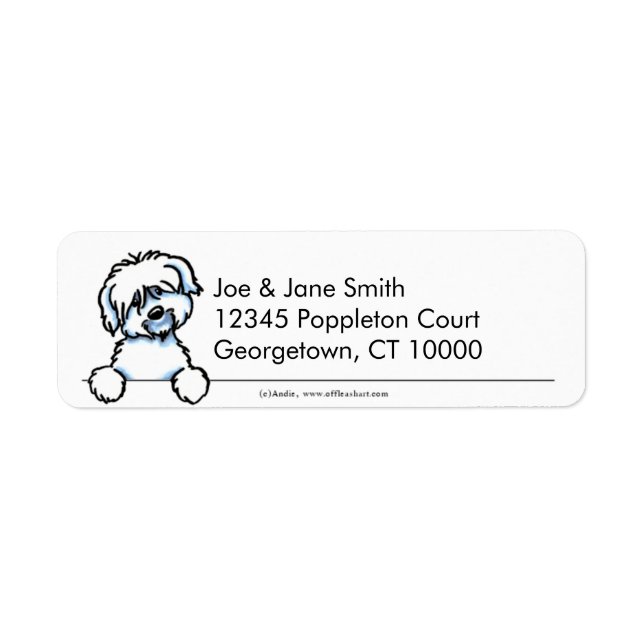 Coton de Tulear propre et simple (Devant)
