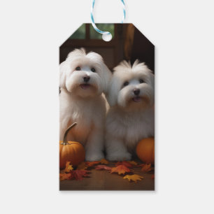 Coton De Tulear Puppy Autumn Delight Pumpkin  Gift Tags