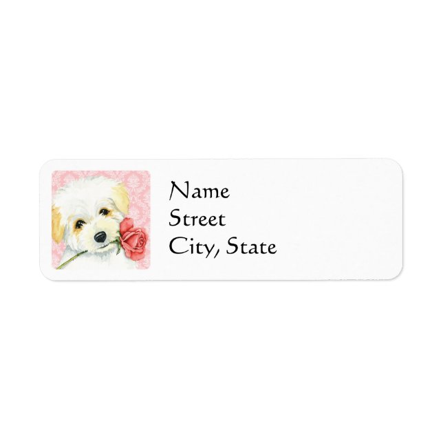 Coton de Tulear Rose de Valentine (Devant)