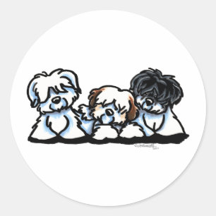 Coton De Tulear Trio Classic Round Sticker