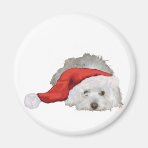 Coton de Tulear - Waiting Magnet