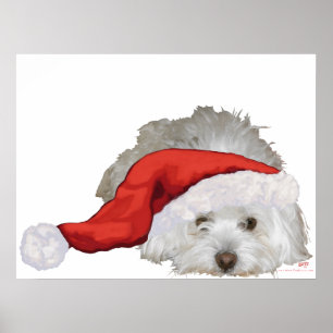 Coton de Tulear - Waiting Poster