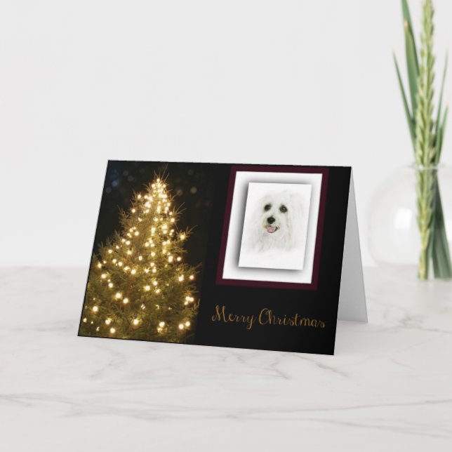 Coton DeTulear Holiday Card (Front)