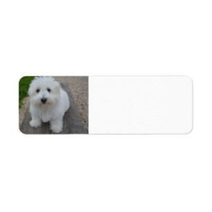 coton on bench