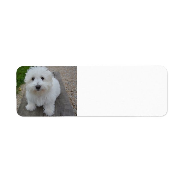 coton on bench (Front)