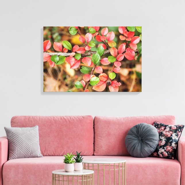 Cotoneaster horizontalis canvas print (Insitu(LivingRoom))