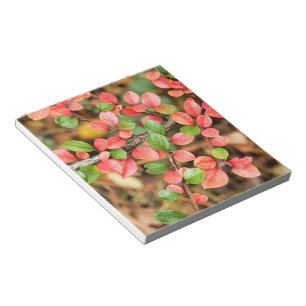 Cotoneaster horizontalis notepad