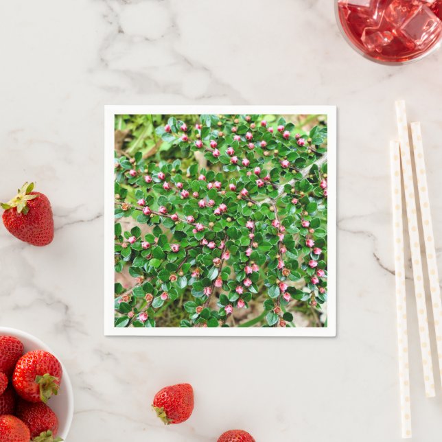 Cotoneaster horizontalis Paper Napkins (Insitu)
