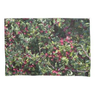 Cotoneaster horizontalis red orange berries hedge pillowcase