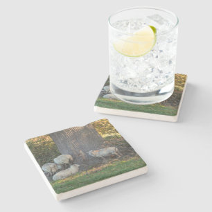 Cotswold Sheep Stone Coaster