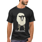 Cotswold Sheep
