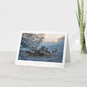 Cotswolds in Winter Card