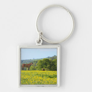 Cotswolds, UK Keychain