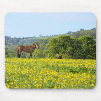 Cotswolds, UK Mouse Pad