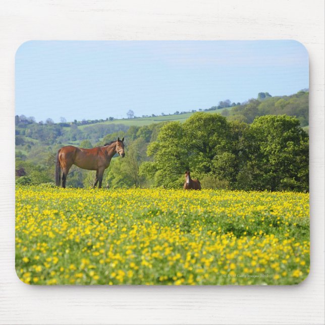 Cotswolds, UK Mouse Pad (Front)