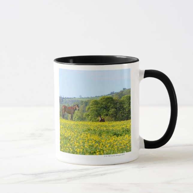 Cotswolds, UK Mug (Right)