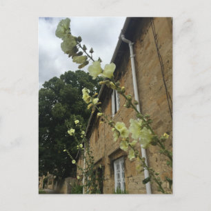 Cotswolds United Kingdom Chipping Campden Postcard