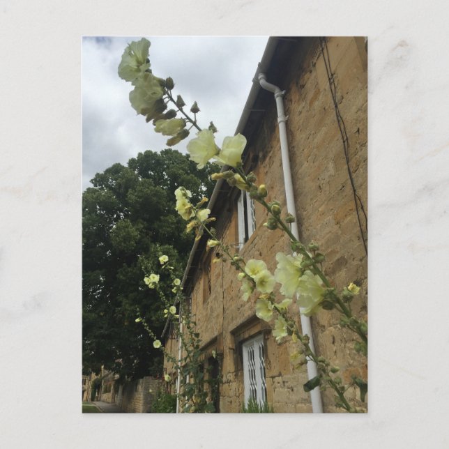 Cotswolds United Kingdom Chipping Campden Postcard (Front)