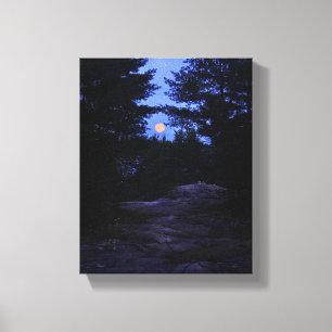 Cottage country moonrise in the woods canvas print
