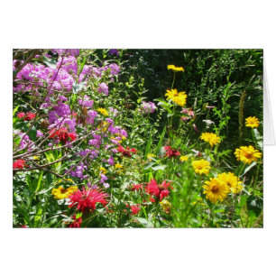 Cottage Garden Background