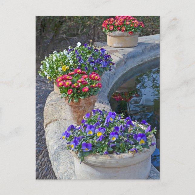 Cottage Garden Flowers Postcard (Front)
