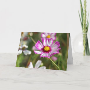 Cottage garden, Rosalinde Card