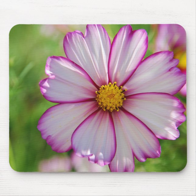 Cottage garden, Rosalinde Mouse Pad (Front)