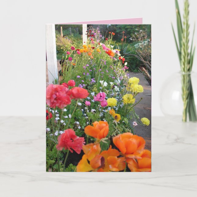 Cottage Garden Smile Pink Rannunculus floral Card (Front)