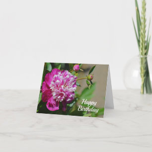 Cottage rose Peony Flower Bonne carte d'anniversai