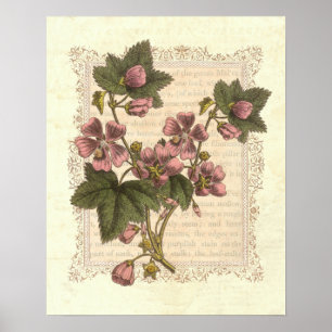 Cottage Shabby Elegance Vintage Floral Decor