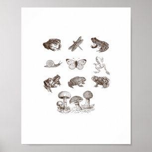 Cottagecore Aesthetic Mushroom Academia Frog Gobli Poster