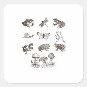 Cottagecore Aesthetic Mushroom Academia Frog Gobli Square Sticker