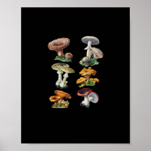 Cottagecore Mushrooms Goblincore Aesthetic Mushroo Poster