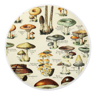 Cottagecore Mushrooms Vintage Naturalist Ceramic Knob