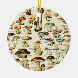 Cottagecore Mushrooms Vintage Naturalist Ceramic Ornament
