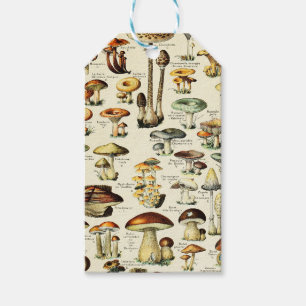 Cottagecore Mushrooms Vintage Naturalist Gift Tags