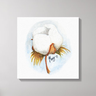 Cotton Boll 1 Canvas Print