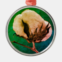 Cotton Boll