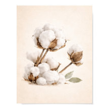 Cotton Branch Wall Art | Minimal Neutral Farmhouse