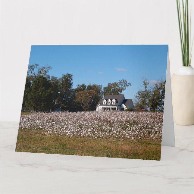 Cotton Field in Georgia with Home Card (Front)