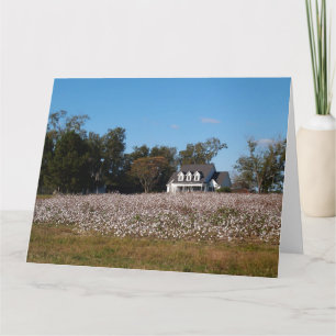 Cotton Field in Georgia with Home Card