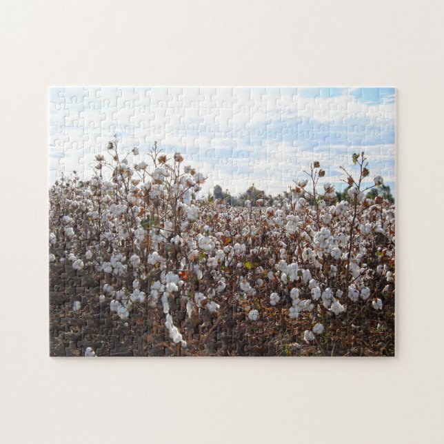 Cotton Field  Missouri. Jigsaw Puzzle (Horizontal)