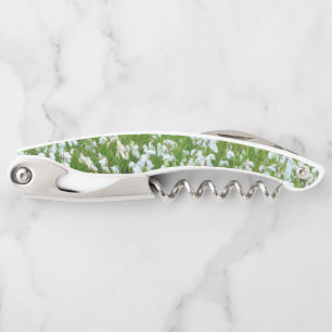 Cotton grass corkscrew