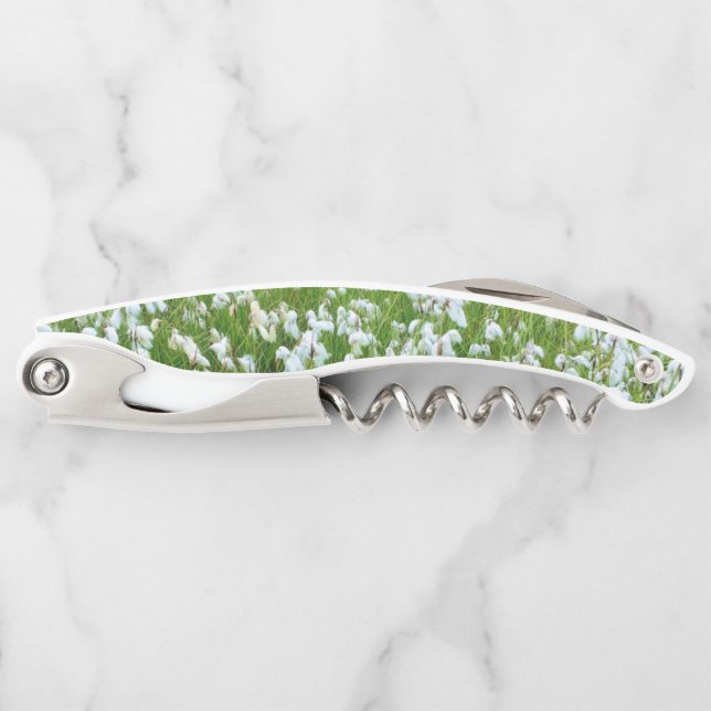 Cotton grass corkscrew (Front)