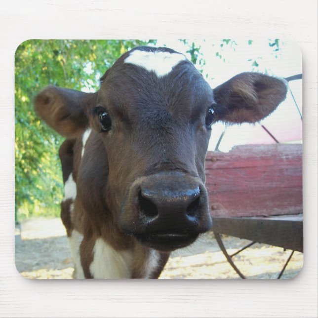 Cotton Mouse Pad (Front)