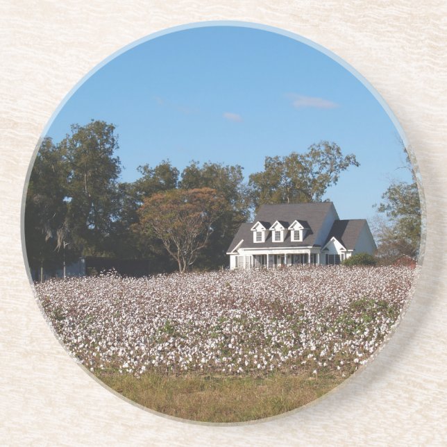 Cotton Series--Home Behind Cotton Field Coaster (Front)