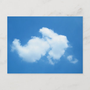 Cotton Tail Postcard