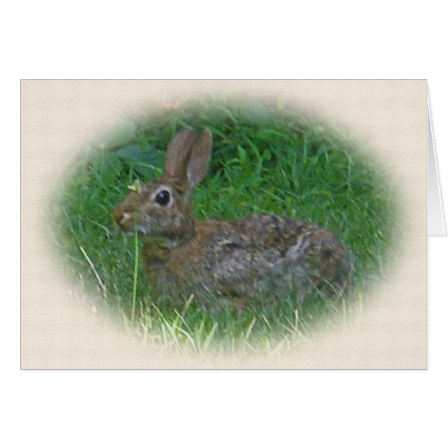 Cottontail Bunny Rabbit Cordinating Items (Front Horizontal)