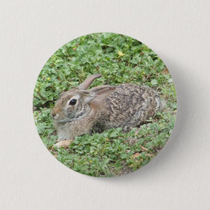 Cottontail rabbit 2 inch round button